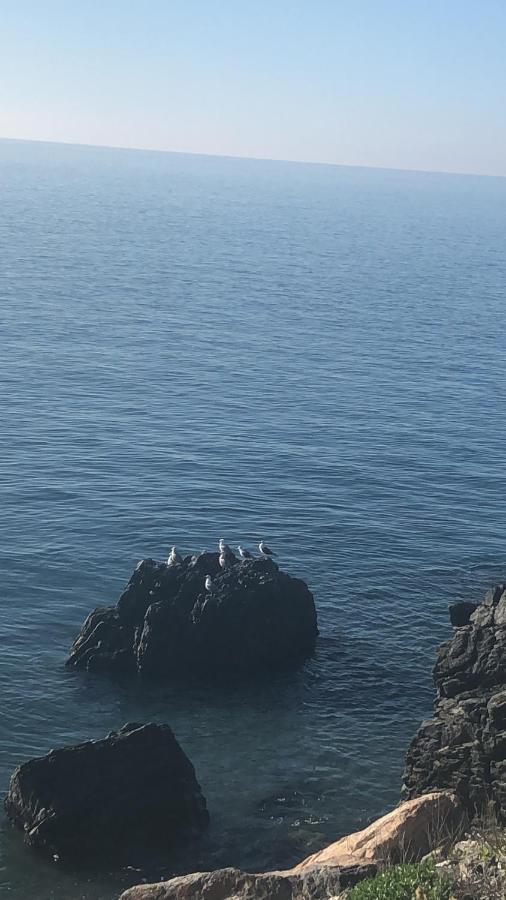 Apartamento Junto Al Mar En Costa Tropical Y Alpujarras Granadinas Melicena Kültér fotó